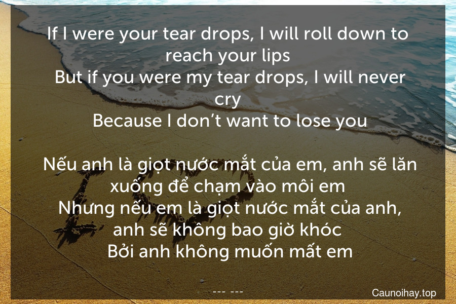 If I were your tear-drops, I will roll down to reach your lips. But if you were my tear-drops, I will never cry. Because I don’t want to lose you.
 Nếu anh là giọt nước mắt của em, anh sẽ lăn xuống để chạm vào môi em. Nhưng nếu em là giọt nước mắt của anh, anh sẽ không bao giờ khóc. Bởi anh không muốn mất em.