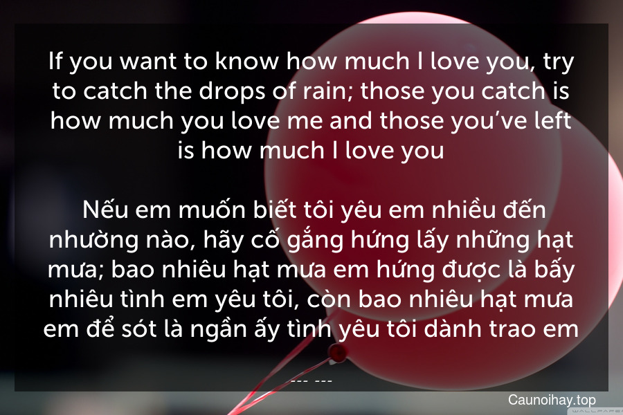 If you want to know how much I love you, try to catch the drops of rain; those you catch is how much you love me and those you’ve left is how much I love you.
 Nếu em muốn biết tôi yêu em nhiều đến nhường nào, hãy cố gắng hứng lấy những hạt mưa; bao nhiêu hạt mưa em hứng được là bấy nhiêu tình em yêu tôi, còn bao nhiêu hạt mưa em để sót là ngần ấy tình yêu tôi dành trao em.