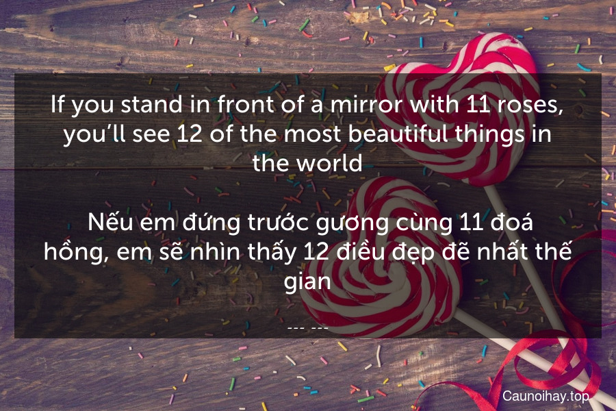 If you stand in front of a mirror with 11 roses, you’ll see 12 of the most beautiful things in the world.
 Nếu em đứng trước gương cùng 11 đoá hồng, em sẽ nhìn thấy 12 điều đẹp đẽ nhất thế gian.