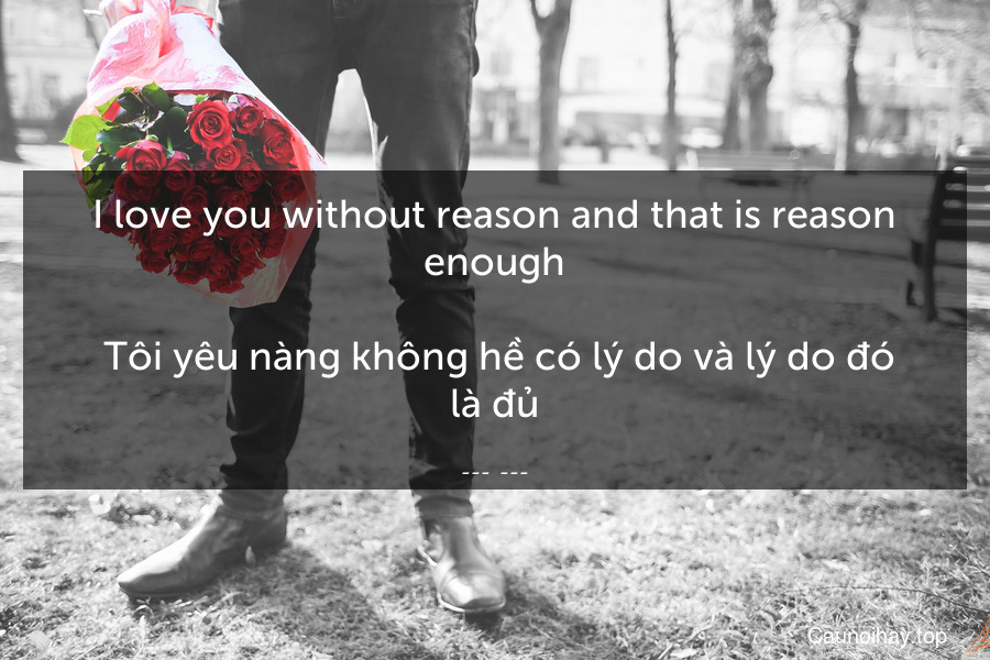 I love you without reason and that is reason enough.
 Tôi yêu nàng không hề có lý do và lý do đó là đủ.