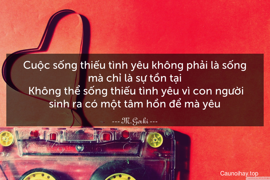 Cuộc sống thiếu tình yêu không phải là sống mà chỉ là sự tồn tại. Không thể sống thiếu tình yêu vì con người sinh ra có một tâm hồn để mà yêu.