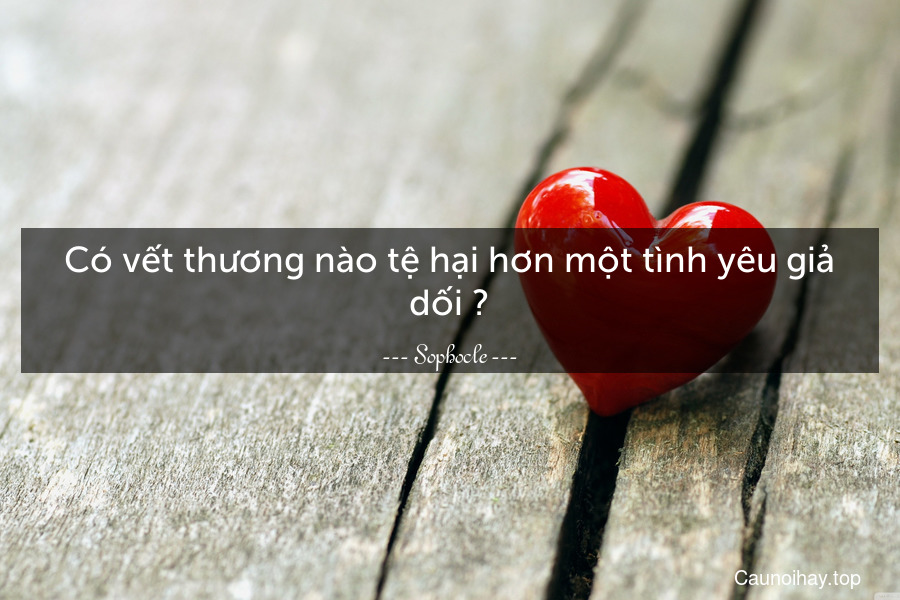 Có vết thương nào tệ hại hơn một tình yêu giả dối ?