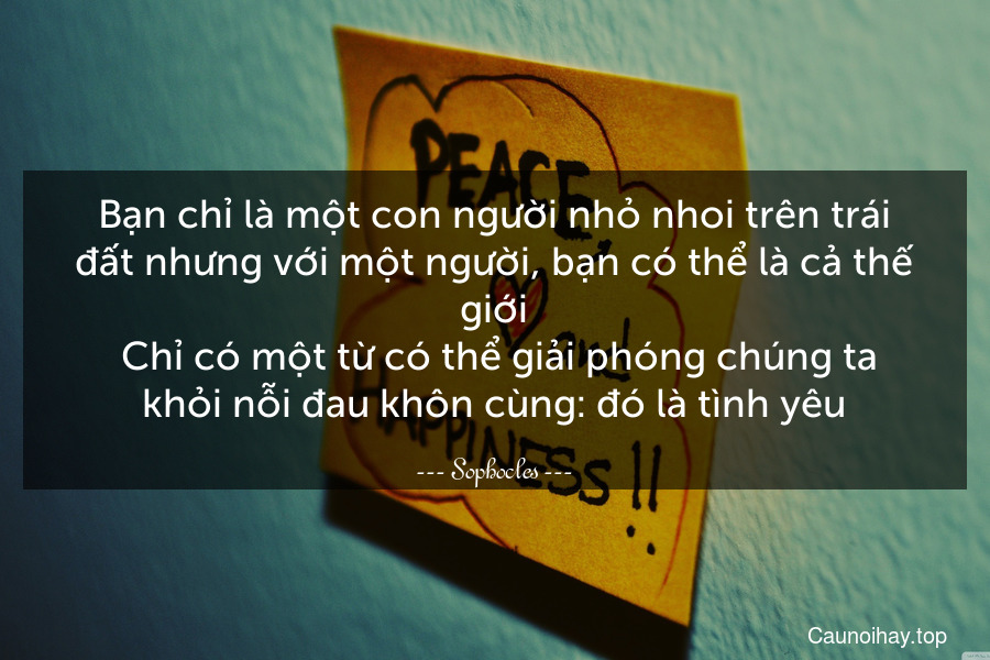 Bạn chỉ là một con người nhỏ nhoi trên trái đất nhưng với một người, bạn có thể là cả thế giới. Chỉ có một từ có thể giải phóng chúng ta khỏi nỗi đau khôn cùng: đó là tình yêu.