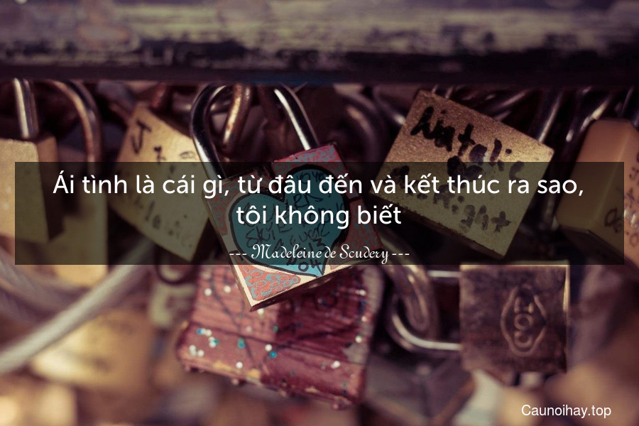 Ái tình là cái gì, từ đâu đến và kết thúc ra sao, tôi không biết.