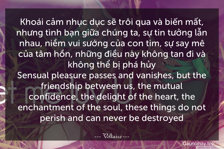 Khoái cảm nhục dục sẽ trôi qua và biến mất, nhưng tình bạn giữa chúng ta, sự tin tưởng lẫn nhau, niềm vui sướng của con tim, sự say mê của tâm hồn, những điều này không tan đi và không thể bị phá hủy.
Sensual pleasure passes and vanishes, but the friendship between us, the mutual confidence, the delight of the heart, the enchantment of the soul, these things do not perish and can never be destroyed.