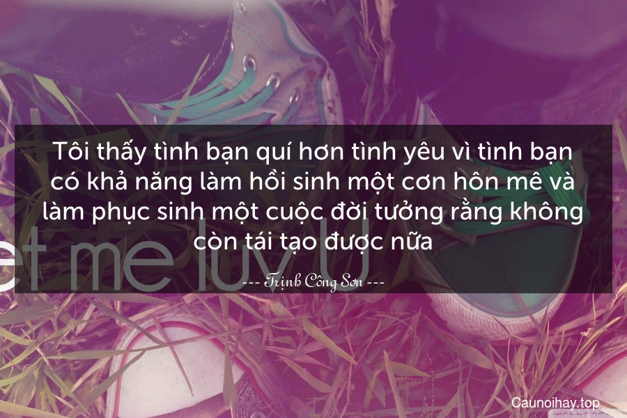 Tôi thấy tình bạn quí hơn tình yêu vì tình bạn có khả năng làm hồi sinh một cơn hôn mê và làm phục sinh một cuộc đời tưởng rằng không còn tái tạo được nữa.