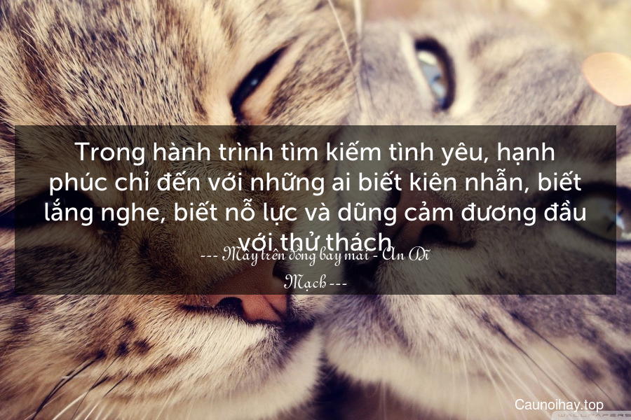 Trong hành trình tìm kiếm tình yêu, hạnh phúc chỉ đến với những ai biết kiên nhẫn, biết lắng nghe, biết nỗ lực và dũng cảm đương đầu với thử thách.