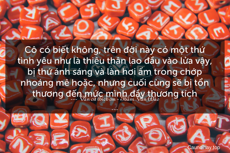 Cô có biết không, trên đời này có một thứ tình yêu như là thiêu thân lao đầu vào lửa vậy, bị thứ ánh sáng và làn hơi ấm trong chớp nhoáng mê hoặc, nhưng cuối cùng sẽ bị tổn thương đến mức mình đầy thương tích.