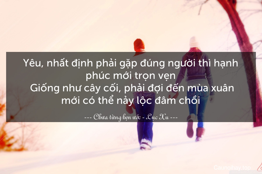 Yêu, nhất định phải gặp đúng người thì hạnh phúc mới trọn vẹn. Giống như cây cối, phải đợi đến mùa xuân mới có thể nảy lộc đâm chồi.