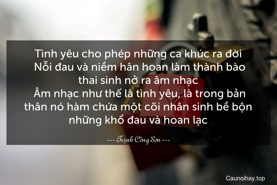 Tình yêu cho phép những ca khúc ra đời. Nỗi đau và niềm hân hoan làm thành bào thai sinh nở ra âm nhạc. Âm nhạc như thế là tình yêu, là trong bản thân nó hàm chứa một cõi nhân sinh bề bộn những khổ đau và hoan lạc.