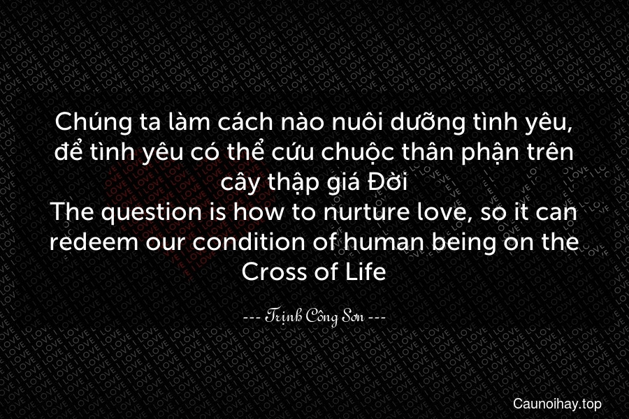 Chúng ta làm cách nào nuôi dưỡng tình yêu, để tình yêu có thể cứu chuộc thân phận trên cây thập giá Đời.
The question is how to nurture love, so it can redeem our condition of human being on the Cross of Life.