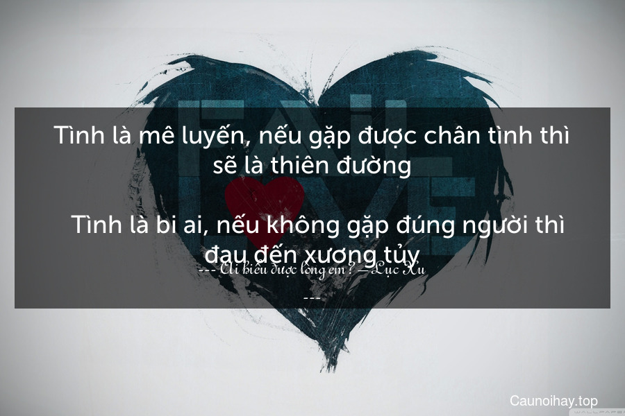 Tình là mê luyến, nếu gặp được chân tình thì sẽ là thiên đường.
  Tình là bi ai, nếu không gặp đúng người thì đau đến xương tủy.