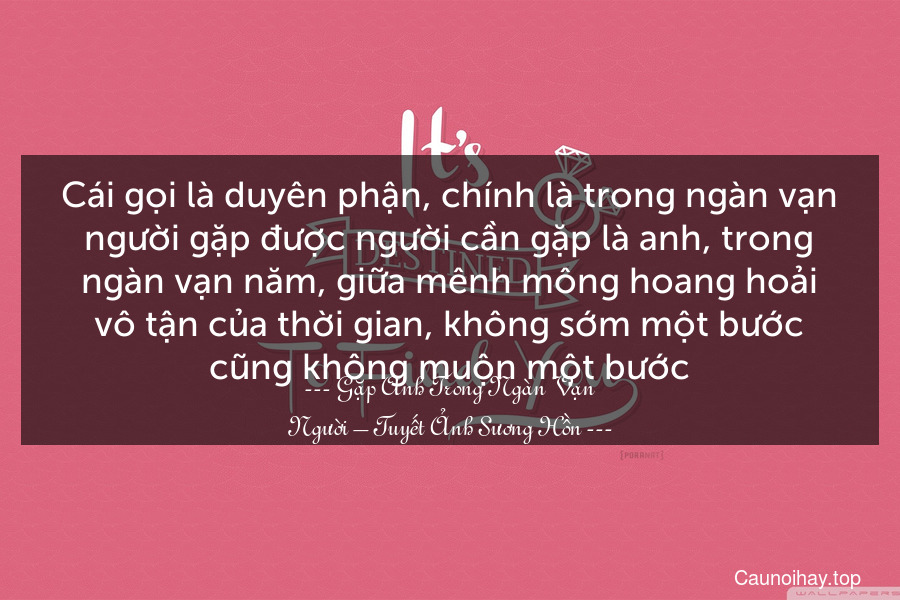 Cái gọi là duyên phận, chính là trong ngàn vạn người gặp được người cần gặp là anh, trong ngàn vạn năm, giữa mênh mông hoang hoải vô tận của thời gian, không sớm một bước cũng không muộn một bước.