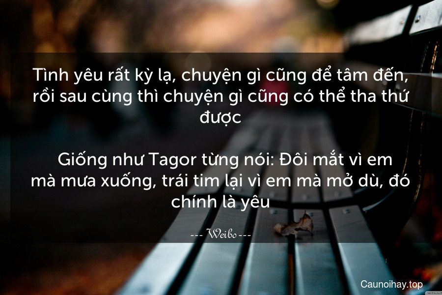 Tình yêu rất kỳ lạ, chuyện gì cũng để tâm đến, rồi sau cùng thì chuyện gì cũng có thể tha thứ được.
  Giống như Tagor từng nói: Đôi mắt vì em mà mưa xuống, trái tim lại vì em mà mở dù, đó chính là yêu.