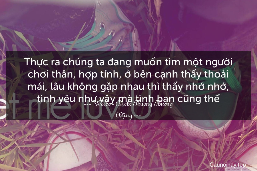 Thực ra chúng ta đang muốn tìm một người chơi thân, hợp tính, ở bên cạnh thấy thoải mái, lâu không gặp nhau thì thấy nhớ nhớ, tình yêu như vậy mà tình bạn cũng thế.