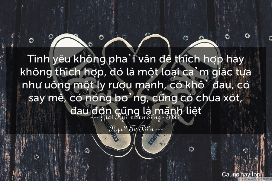 Tình yêu không phải vấn đề thích hợp hay không thích hợp, đó là một loại cảm giác tựa như uống một ly rượu mạnh, có khổ đau, có say mê, có nóng bỏng, cũng có chua xót, đau đớn cũng là mãnh liệt.