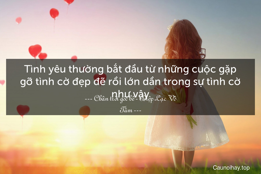 Tình yêu thường bắt đầu từ những cuộc gặp gỡ tình cờ đẹp đẽ rồi lớn dần trong sự tình cờ như vậy.