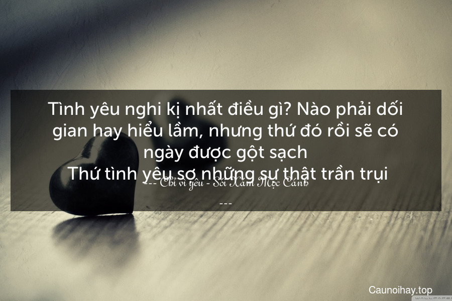 Tình yêu nghi kị nhất điều gì? Nào phải dối gian hay hiểu lầm, nhưng thứ đó rồi sẽ có ngày được gột sạch. Thứ tình yêu sợ những sự thật trần trụi.