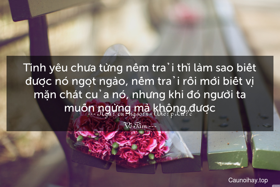 Tình yêu chưa từng nếm trải thì làm sao biết được nó ngọt ngào, nếm trải rồi mới biết vị mặn chát của nó, nhưng khi đó người ta muốn ngừng mà không được.