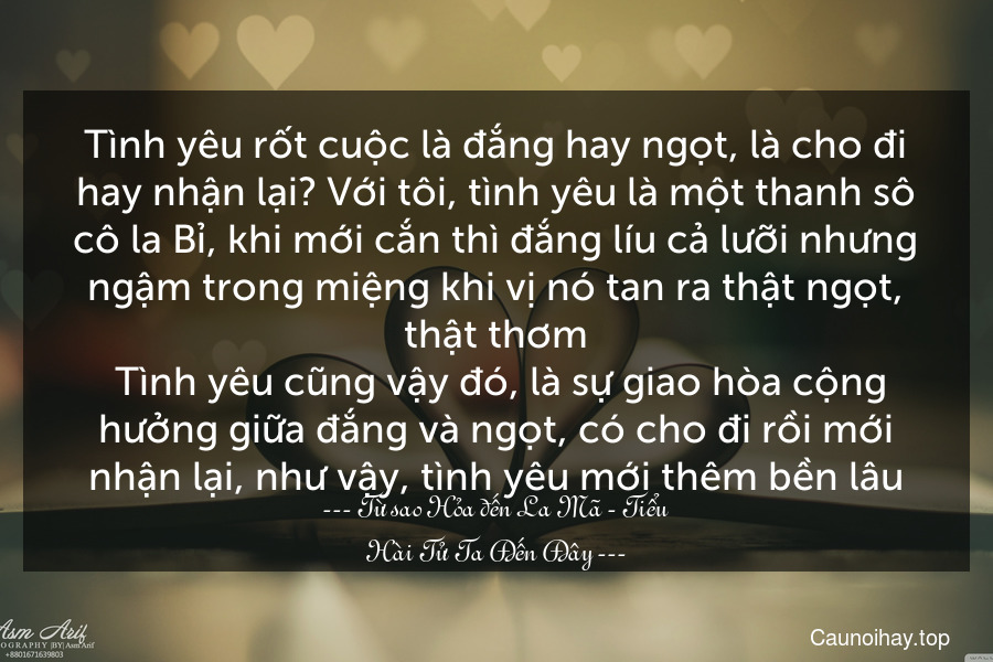 Tình yêu rốt cuộc là đắng hay ngọt, là cho đi hay nhận lại? Với tôi, tình yêu là một thanh sô cô la Bỉ, khi mới cắn thì đắng líu cả lưỡi nhưng ngậm trong miệng khi vị nó tan ra thật ngọt, thật thơm. Tình yêu cũng vậy đó, là sự giao hòa cộng hưởng giữa đắng và ngọt, có cho đi rồi mới nhận lại, như vậy, tình yêu mới thêm bền lâu.