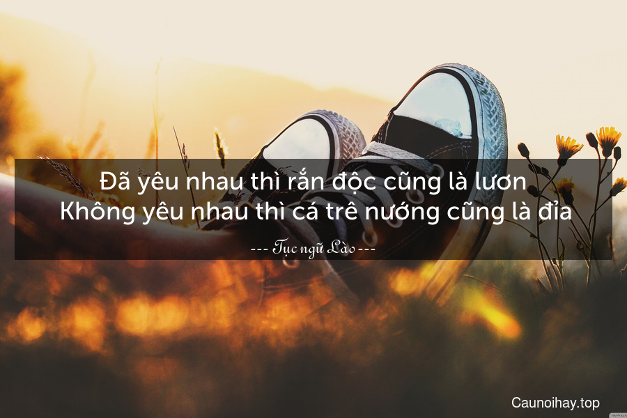 Đã yêu nhau thì rắn độc cũng là lươn. Không yêu nhau thì cá trê nướng cũng là đỉa.