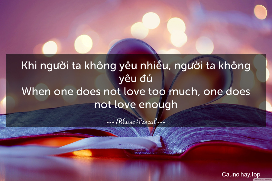 Khi người ta không yêu nhiều, người ta không yêu đủ.
When one does not love too much, one does not love enough.