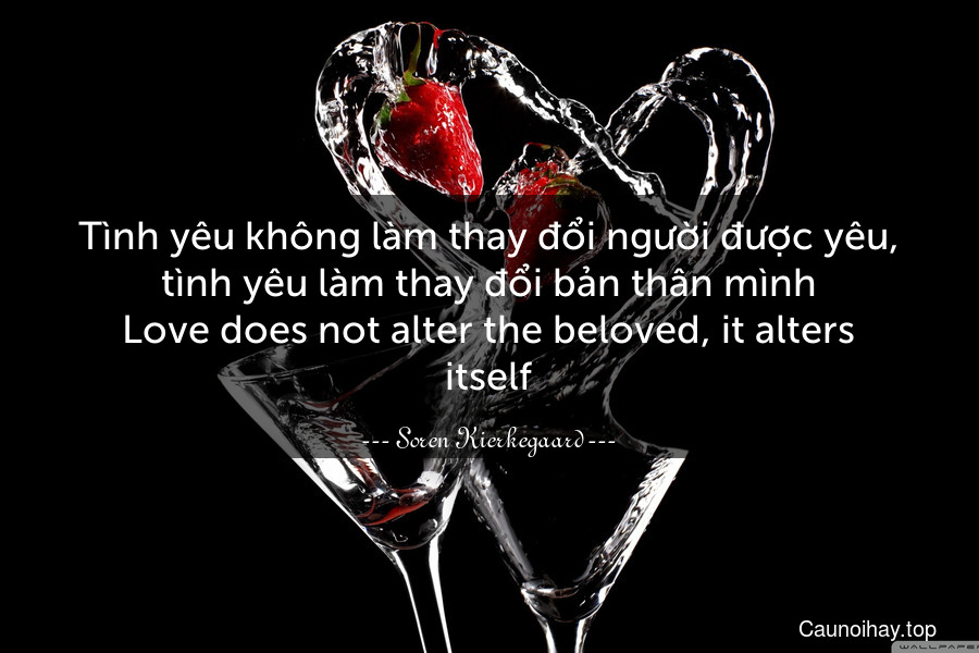 Tình yêu không làm thay đổi người được yêu, tình yêu làm thay đổi bản thân mình.
Love does not alter the beloved, it alters itself.