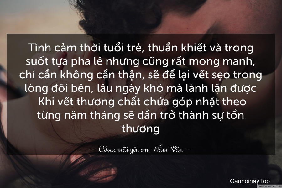 Tình cảm thời tuổi trẻ, thuần khiết và trong suốt tựa pha lê nhưng cũng rất mong manh, chỉ cần không cẩn thận, sẽ để lại vết sẹo trong lòng đôi bên, lâu ngày khó mà lành lặn được. Khi vết thương chất chứa góp nhặt theo từng năm tháng sẽ dần trở thành sự tổn thương.