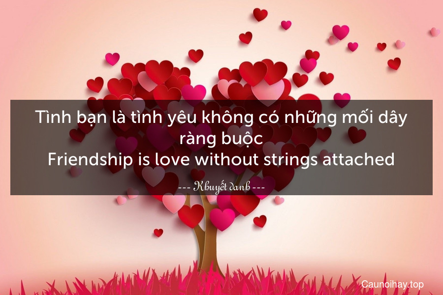Tình bạn là tình yêu không có những mối dây ràng buộc.
Friendship is love without strings attached.