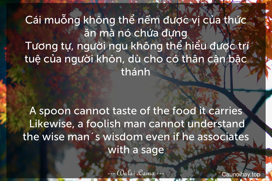 Cái muỗng không thể nếm được vị của thức ăn mà nó chứa đựng. Tương tự, người ngu không thể hiểu được trí tuệ của người khôn, dù cho có thân cận bậc thánh.
-
A spoon cannot taste of the food it carries. Likewise, a foolish man cannot understand the wise man´s wisdom even if he associates with a sage.