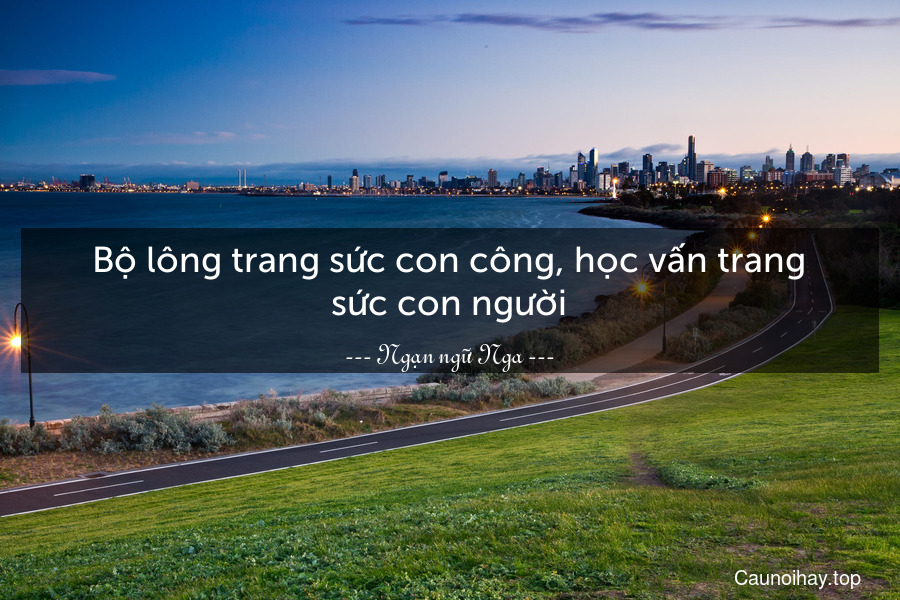 Bộ lông trang sức con công, học vấn trang sức con người.