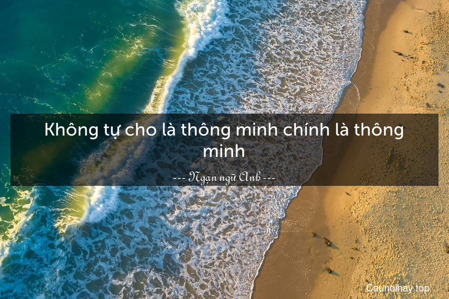 Không tự cho là thông minh chính là thông minh.