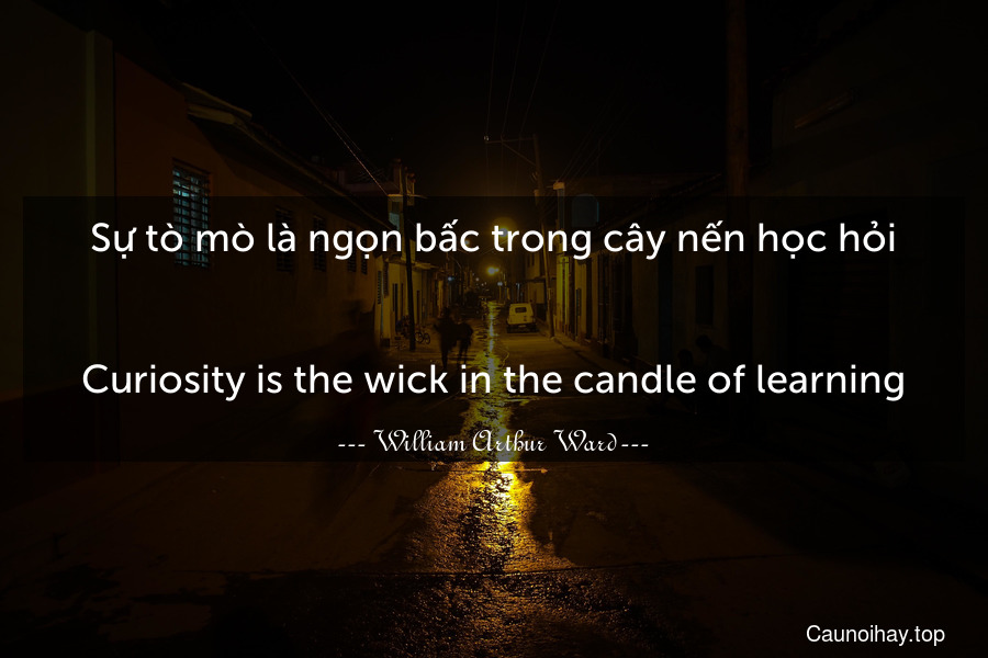 Sự tò mò là ngọn bấc trong cây nến học hỏi.
-
Curiosity is the wick in the candle of learning.