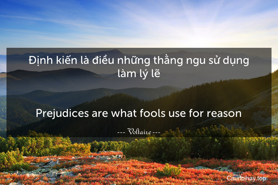 Định kiến là điều những thằng ngu sử dụng làm lý lẽ.
-
Prejudices are what fools use for reason.