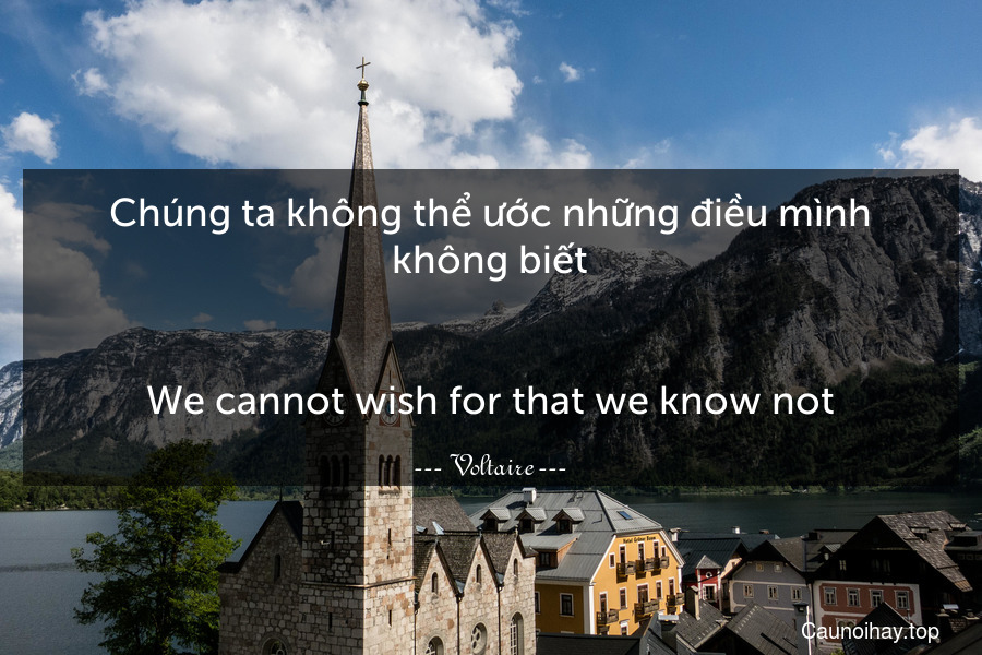 Chúng ta không thể ước những điều mình không biết.
-
We cannot wish for that we know not.