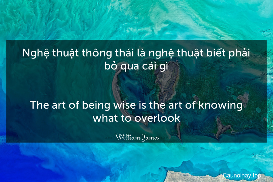 Nghệ thuật thông thái là nghệ thuật biết phải bỏ qua cái gì.
-
The art of being wise is the art of knowing what to overlook.