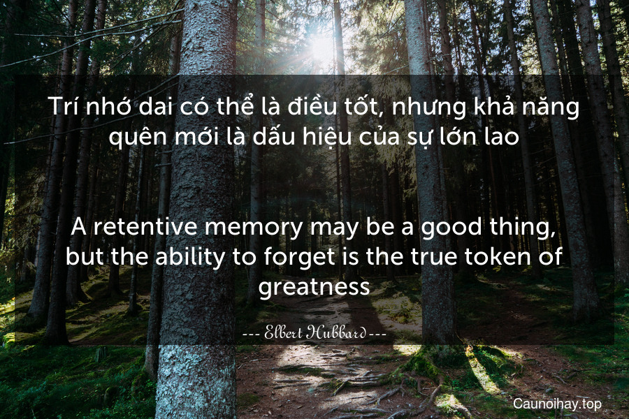 Trí nhớ dai có thể là điều tốt, nhưng khả năng quên mới là dấu hiệu của sự lớn lao.
-
A retentive memory may be a good thing, but the ability to forget is the true token of greatness.