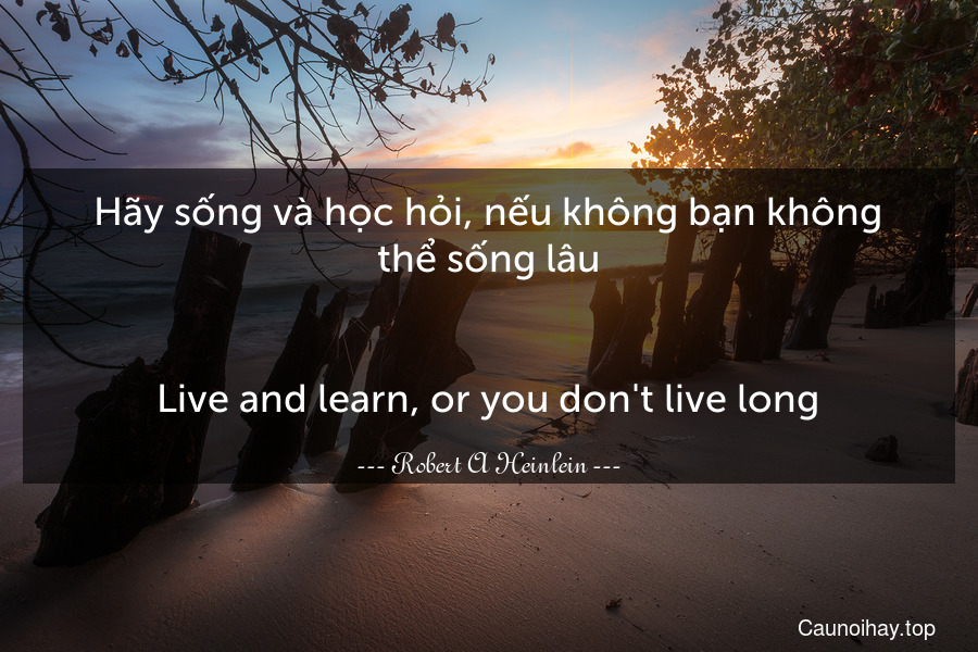Hãy sống và học hỏi, nếu không bạn không thể sống lâu.
-
Live and learn, or you don't live long.