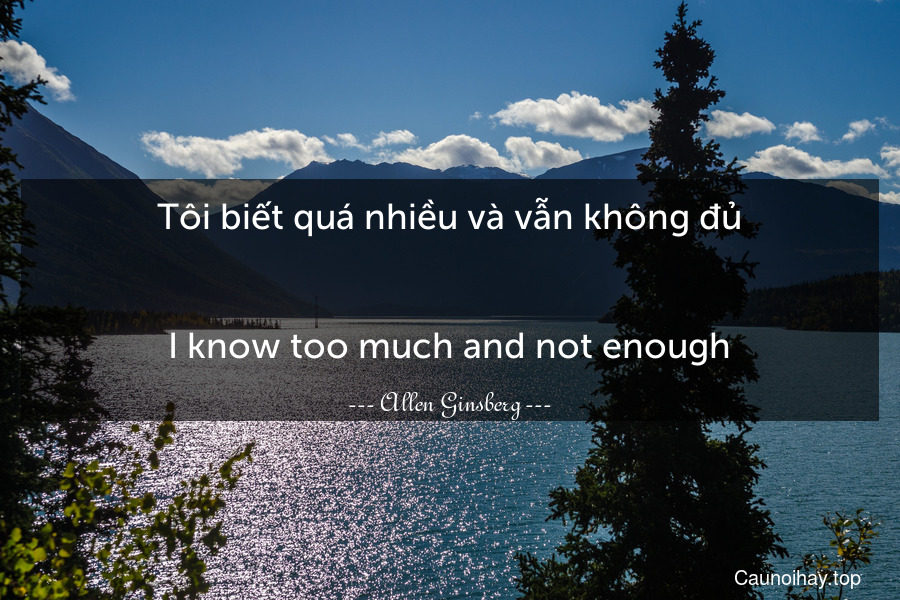 Tôi biết quá nhiều và vẫn không đủ.
-
I know too much and not enough.