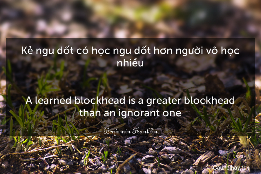 Kẻ ngu dốt có học ngu dốt hơn người vô học nhiều.
-
A learned blockhead is a greater blockhead than an ignorant one.