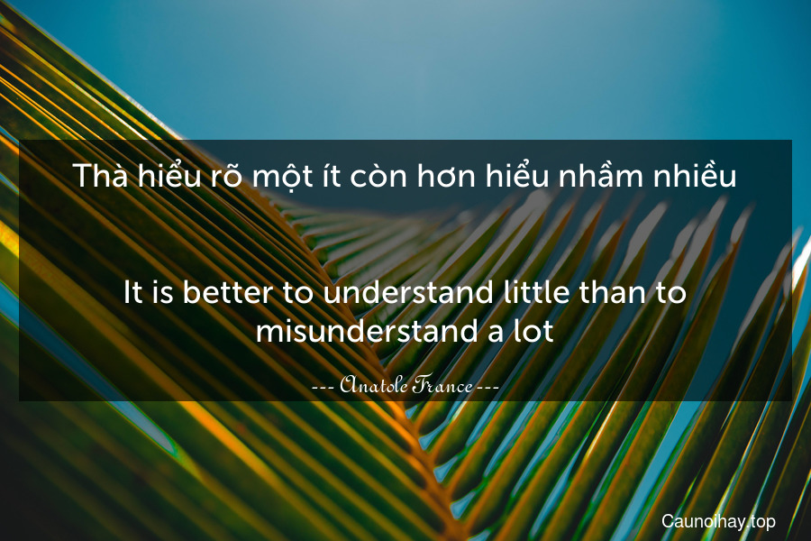 Thà hiểu rõ một ít còn hơn hiểu nhầm nhiều.
-
It is better to understand little than to misunderstand a lot.