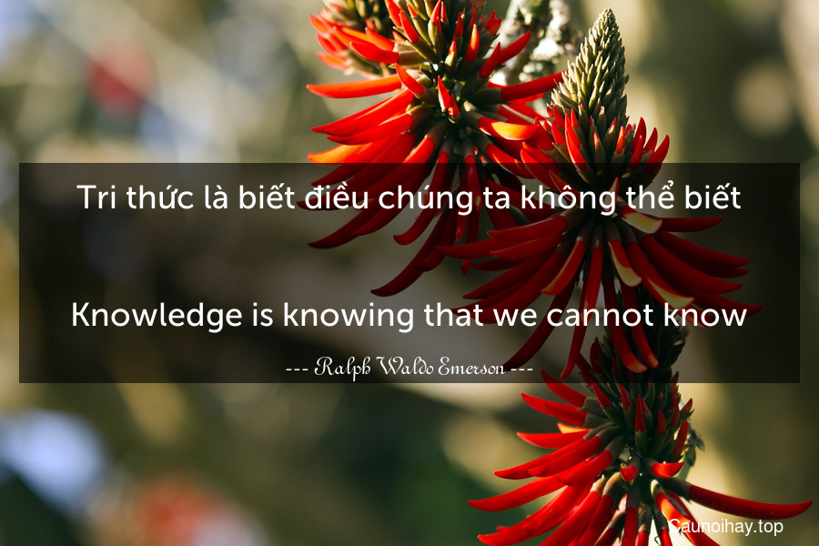 Tri thức là biết điều chúng ta không thể biết.
-
Knowledge is knowing that we cannot know.