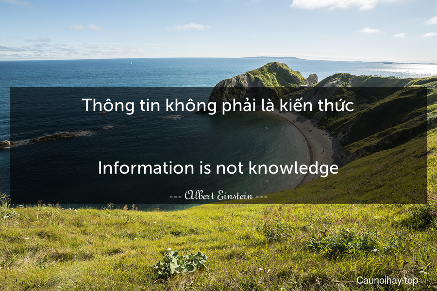Thông tin không phải là kiến thức.
-
Information is not knowledge.