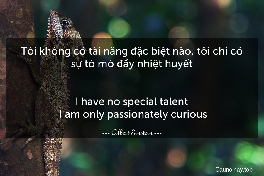 Tôi không có tài năng đặc biệt nào, tôi chỉ có sự tò mò đầy nhiệt huyết.
-
I have no special talent. I am only passionately curious.