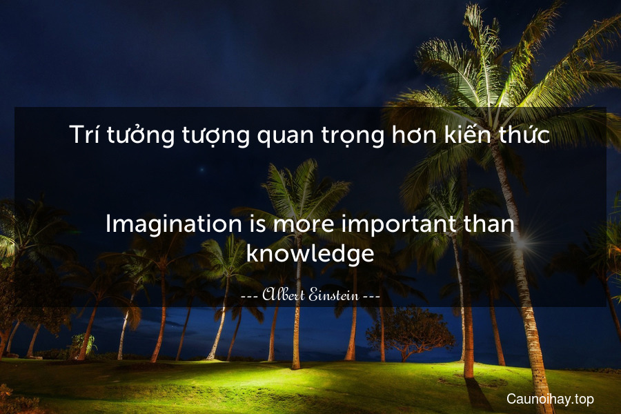 Trí tưởng tượng quan trọng hơn kiến thức.
-
Imagination is more important than knowledge.