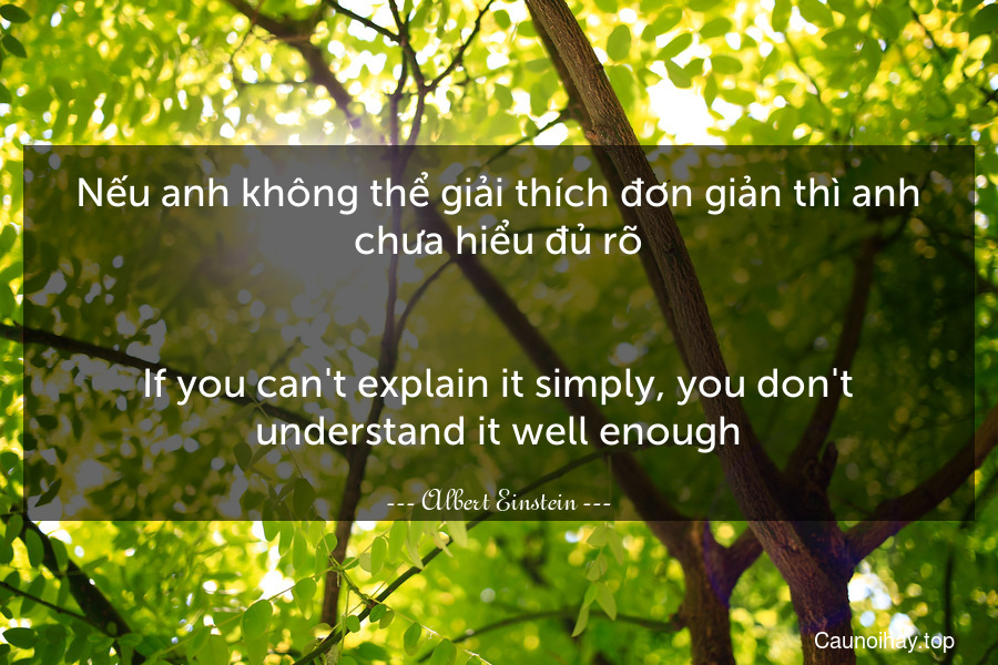 Nếu anh không thể giải thích đơn giản thì anh chưa hiểu đủ rõ.
-
If you can't explain it simply, you don't understand it well enough.