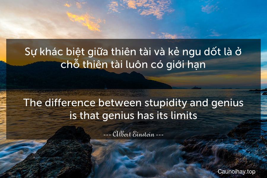 Sự khác biệt giữa thiên tài và kẻ ngu dốt là ở chỗ thiên tài luôn có giới hạn.
-
The difference between stupidity and genius is that genius has its limits.
