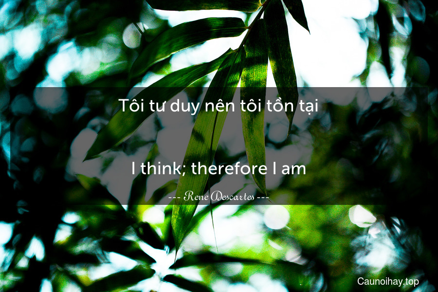 Tôi tư duy nên tôi tồn tại.
-
I think; therefore I am.