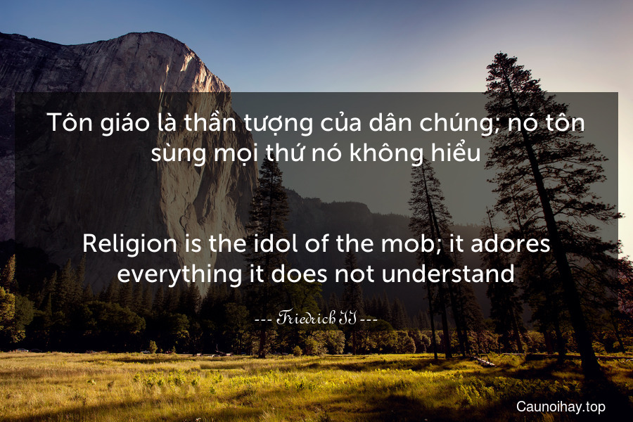 Tôn giáo là thần tượng của dân chúng; nó tôn sùng mọi thứ nó không hiểu.
-
Religion is the idol of the mob; it adores everything it does not understand.