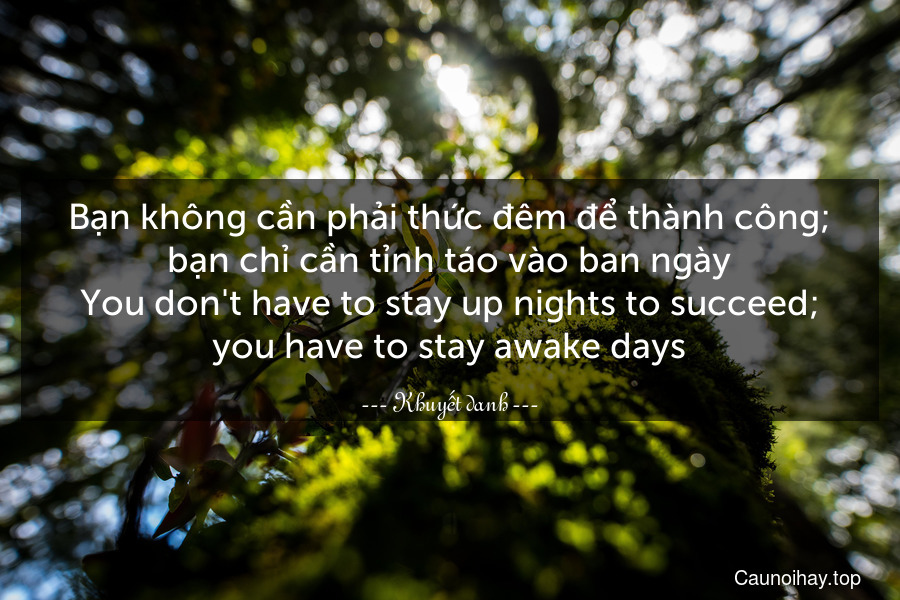 Bạn không cần phải thức đêm để thành công; bạn chỉ cần tỉnh táo vào ban ngày.
You don't have to stay up nights to succeed; you have to stay awake days.
